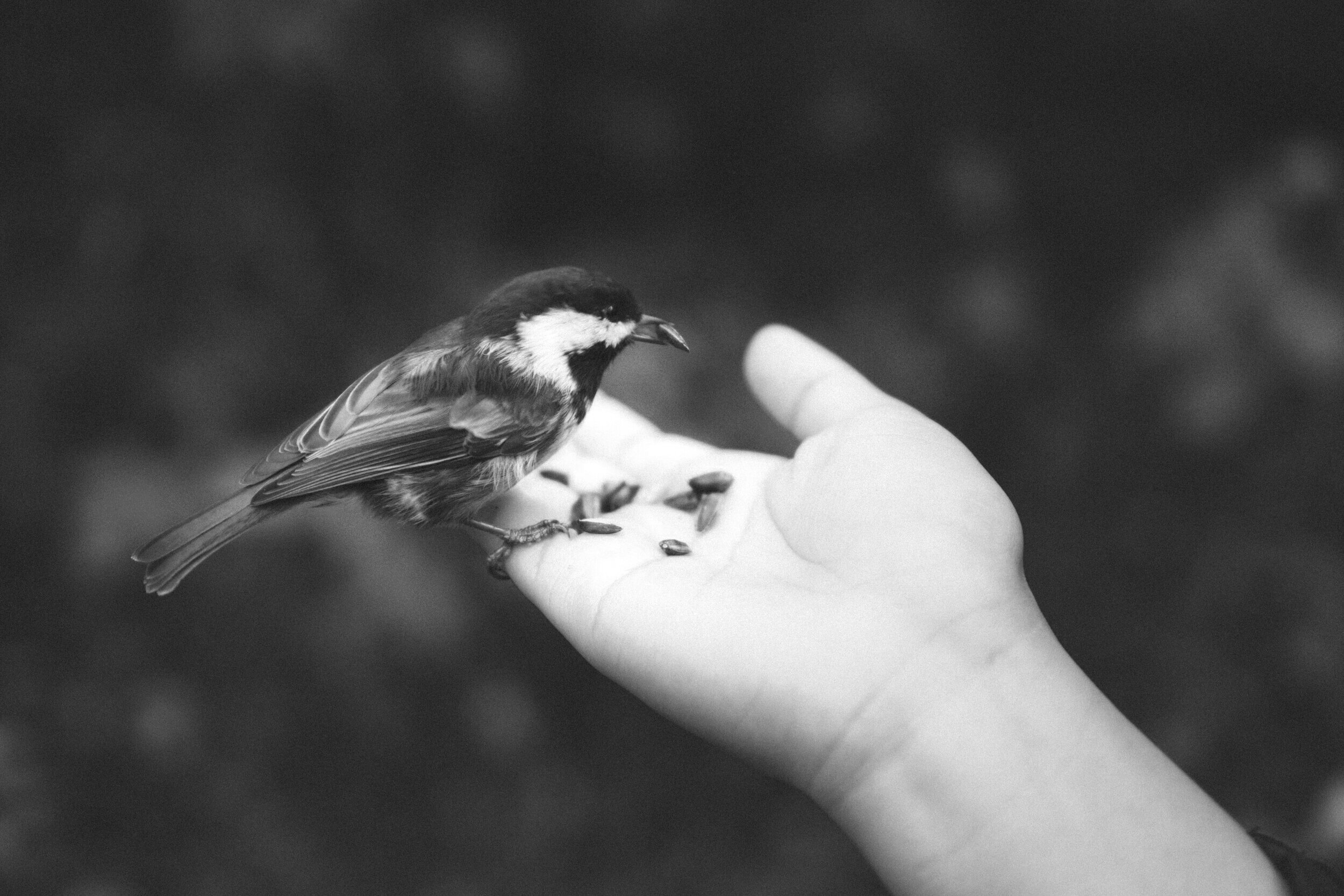 Employee Ownership: Cash Now or Cash later?