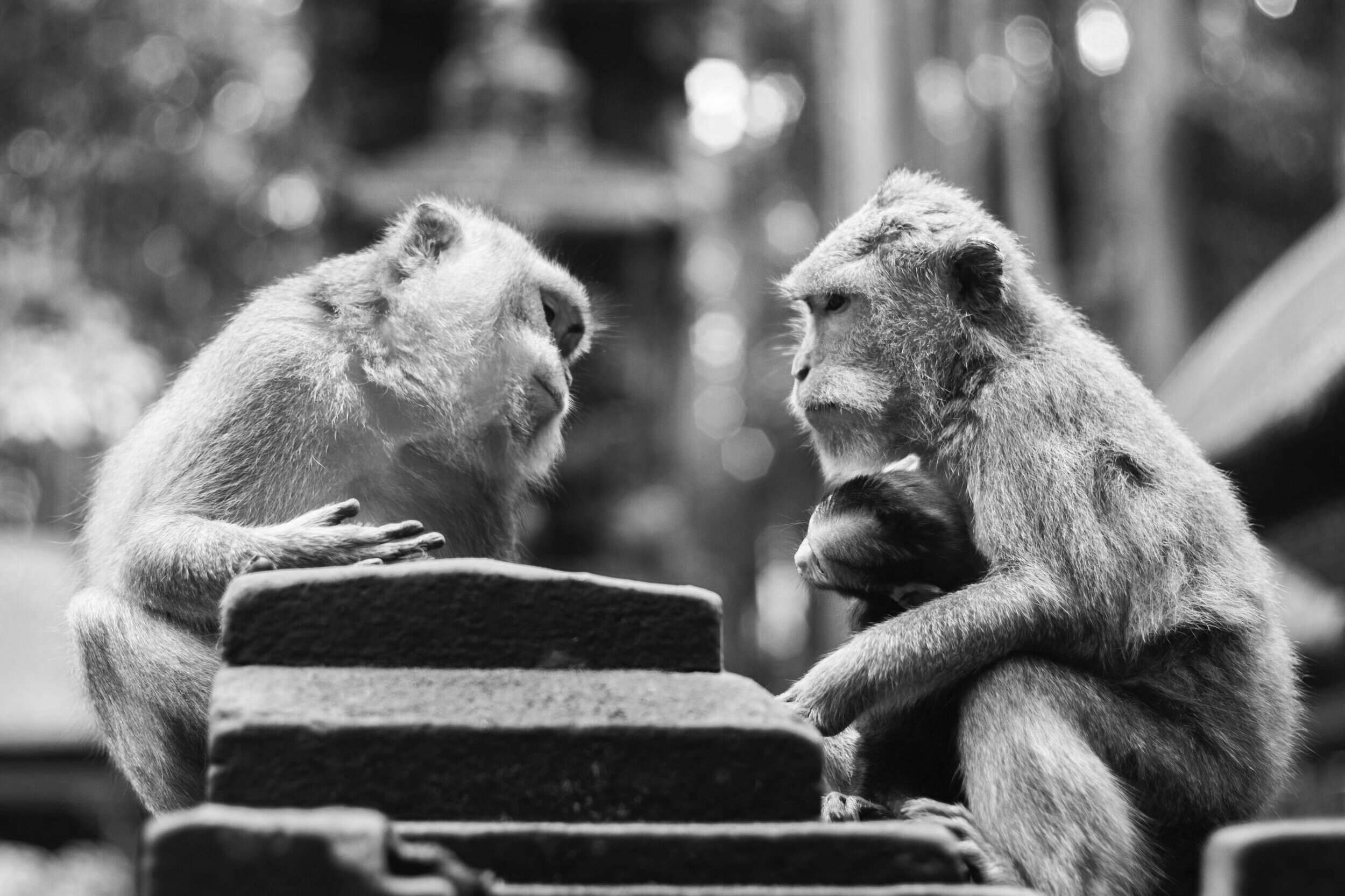 How to Talk to Your Family About Steward Ownership